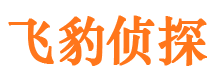 大兴安岭市侦探调查公司